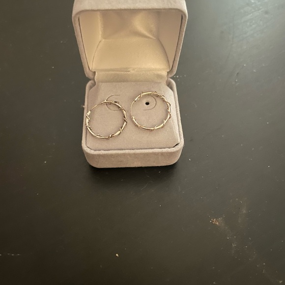 Jewelry - Small Silver Hoop Earrings